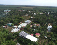 Ảnh đại diện