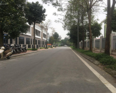 Ảnh đại diện