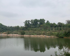 Ảnh đại diện