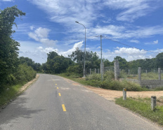 Ảnh đại diện