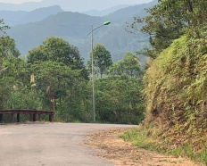 Ảnh đại diện
