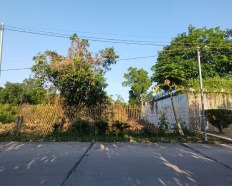 Ảnh đại diện