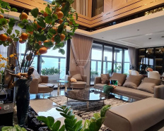 Ảnh đại diện