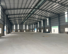 Ảnh đại diện