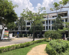 Ảnh đại diện
