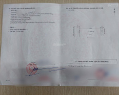 Ảnh đại diện