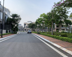 Ảnh đại diện