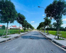 Ảnh đại diện