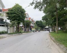Ảnh đại diện