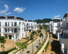 Ảnh đại diện