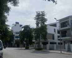 Ảnh đại diện
