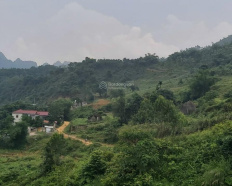 Ảnh đại diện