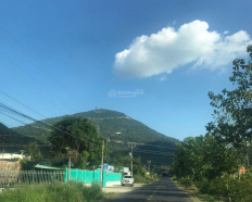 Ảnh đại diện