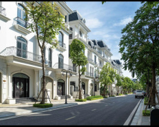 Ảnh đại diện
