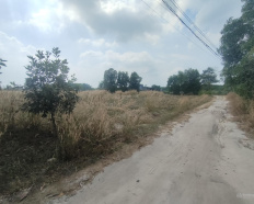 Ảnh đại diện