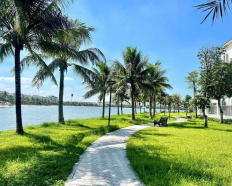 Ảnh đại diện