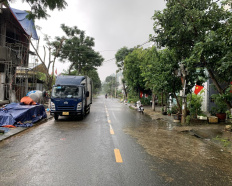 Ảnh đại diện