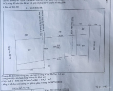 Ảnh đại diện