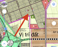 Ảnh đại diện