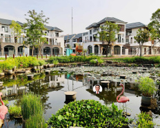 Ảnh đại diện