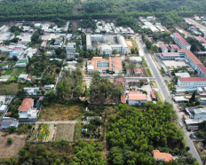 Ảnh đại diện