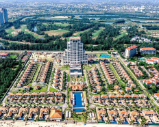 Ảnh đại diện