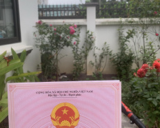 Ảnh đại diện