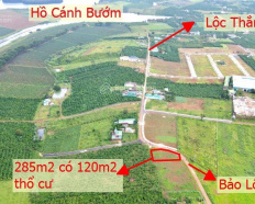 Ảnh đại diện
