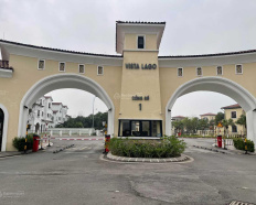 Ảnh đại diện