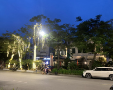 Ảnh đại diện