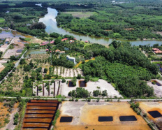 Ảnh đại diện