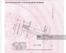 Ảnh đại diện