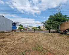 Ảnh đại diện