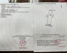 Ảnh đại diện