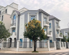 Ảnh đại diện