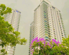 Ảnh đại diện