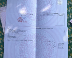 Ảnh đại diện