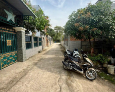 Ảnh đại diện