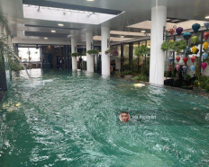 Ảnh đại diện