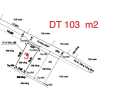 Ảnh đại diện