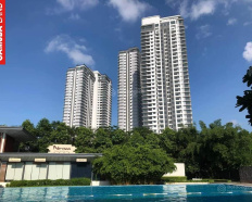 Ảnh đại diện