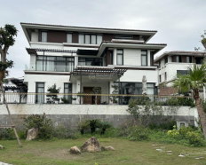 Ảnh đại diện