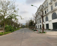 Ảnh đại diện