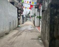 Ảnh đại diện