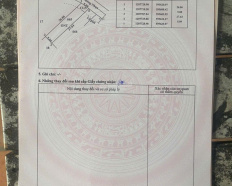 Ảnh đại diện