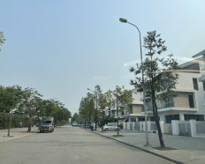 Ảnh đại diện