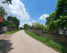 Ảnh đại diện
