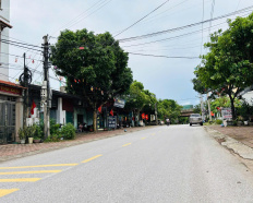 Ảnh đại diện
