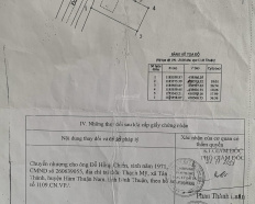 Ảnh đại diện