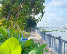 Ảnh đại diện